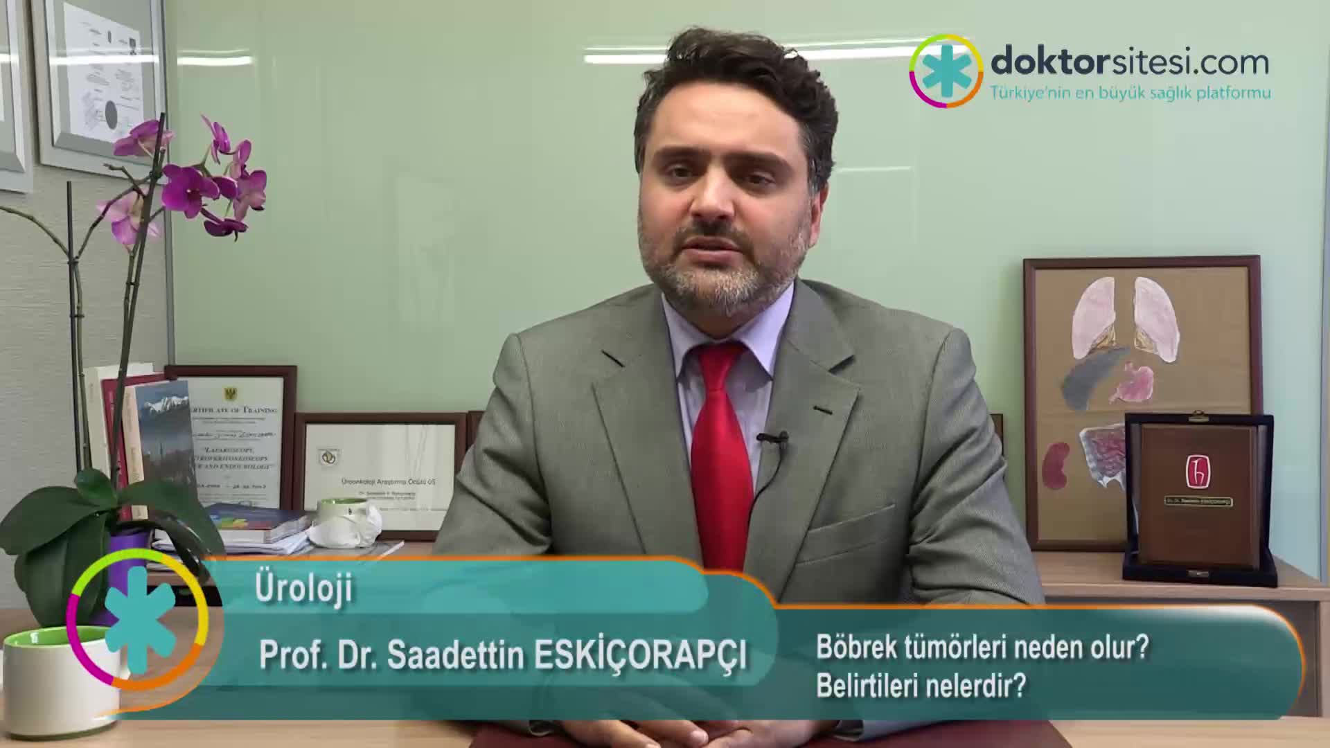Böbrek tümörleri neden olur? Belirtileri nelerdir?