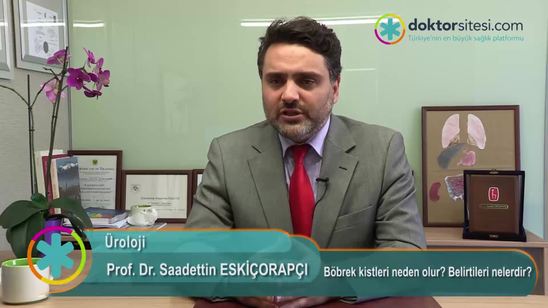 Böbrek kistleri neden olur? Belirtileri nelerdir?