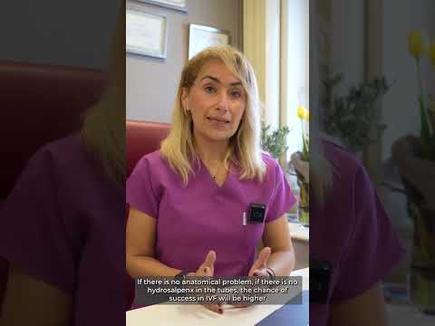 Tüp bebek tedavisinin başarısı hangi faktörlere bağlıdır?