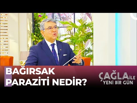 Bağırsak Parazitleri Prof. Dr Murat Tuncer'den Bağırsak Hakkında Bilgiler - Çağla İle Yeni Bir Gün 784 .Bölüm