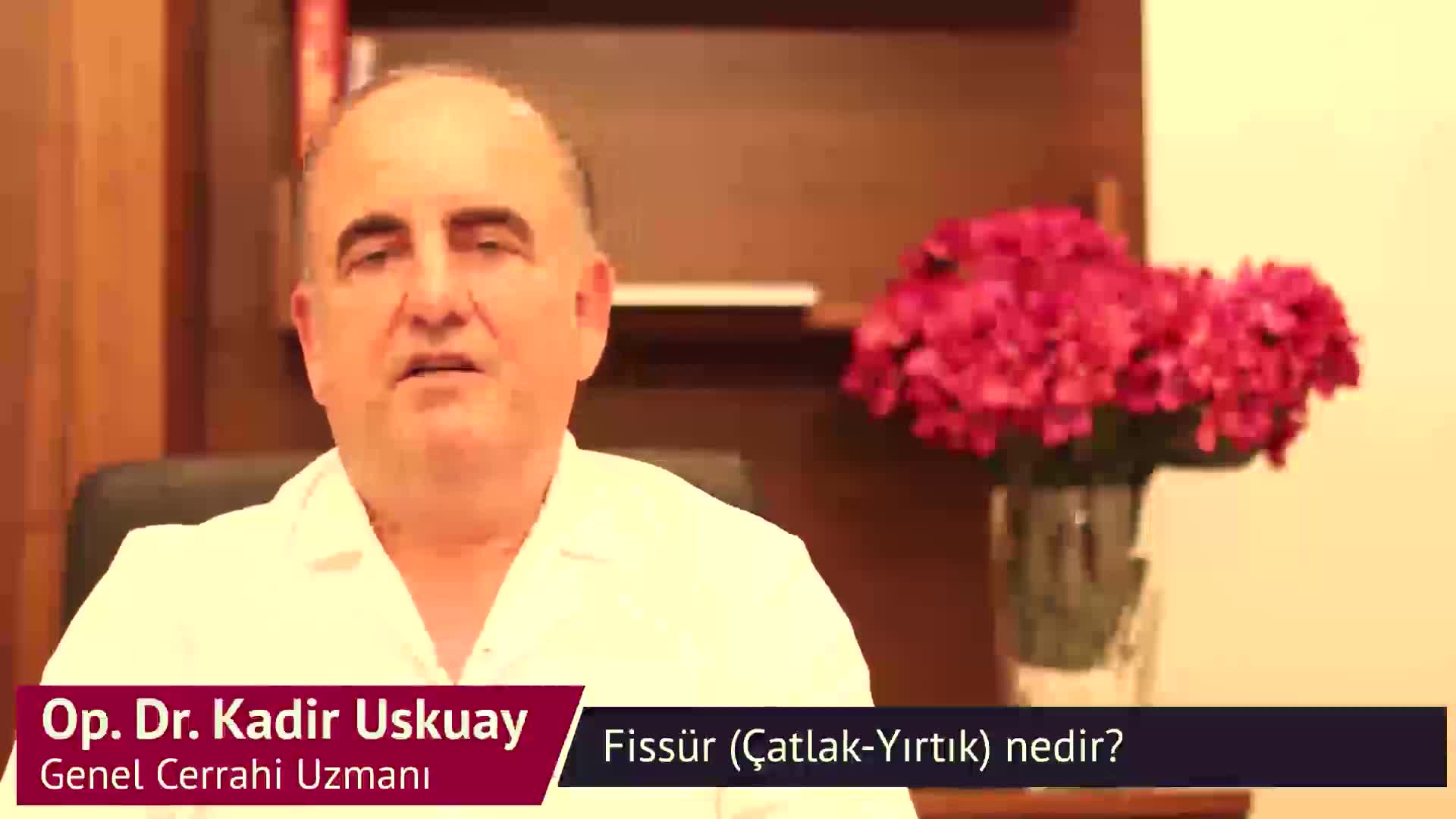 Kadir Uskuay - Fissür (Çatlak-Yırtık) nedir? old