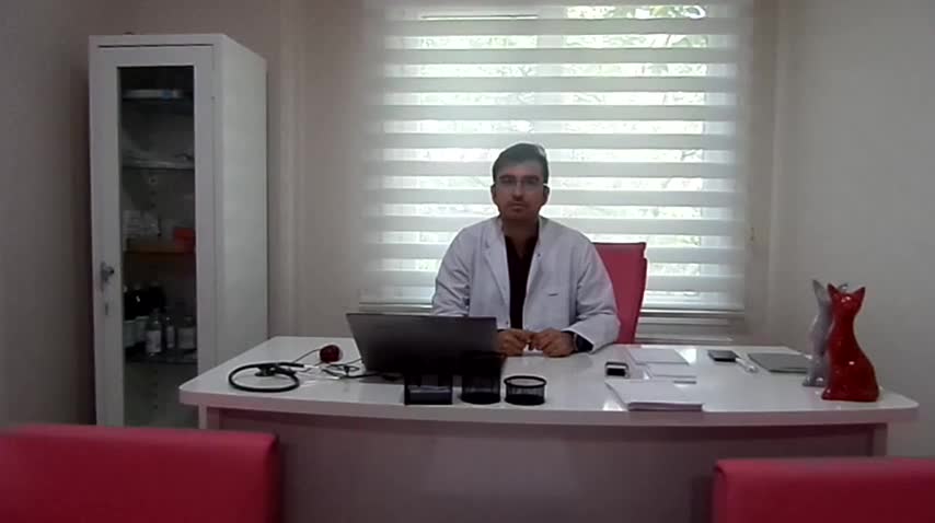 Aktif mesane