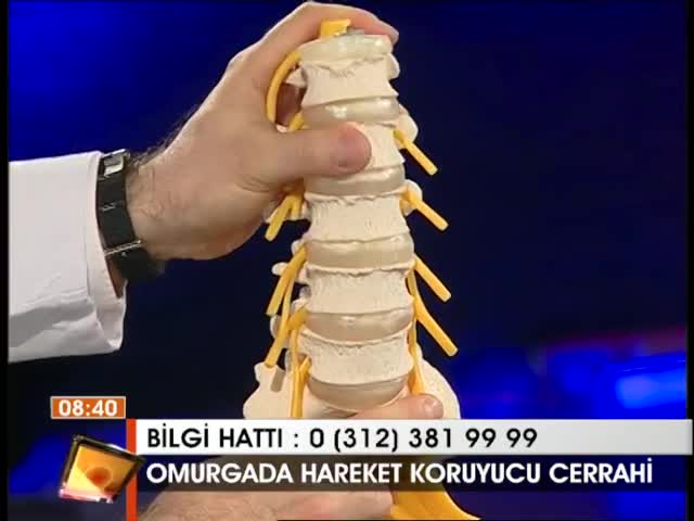 Omurga Nedir? Disk Nedir?