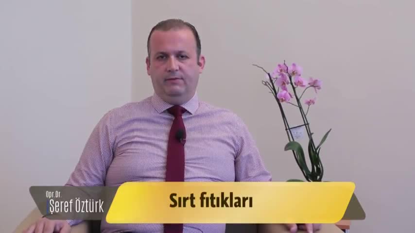 Sırt fıtıkları