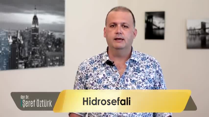 Hidrosefali hakkında