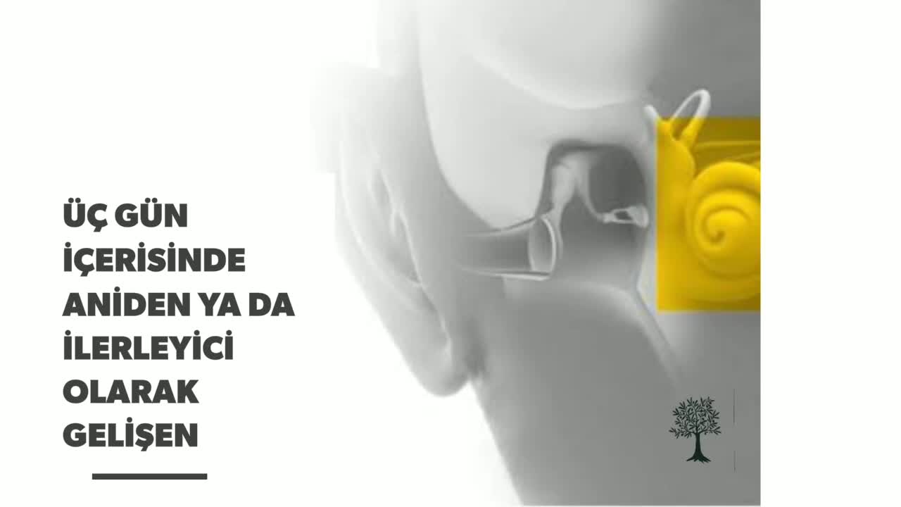 Youtube – Ani işitme kaybı