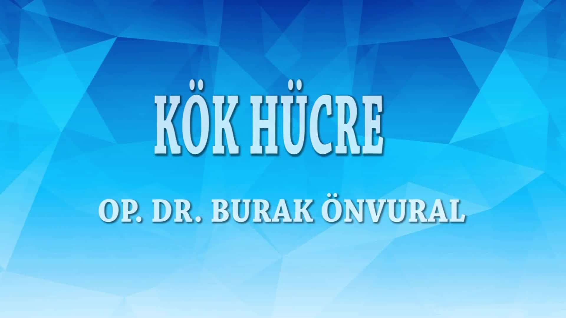 Youtube - Kök hücre