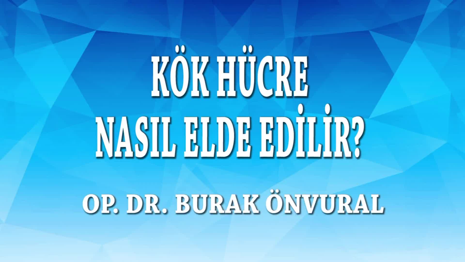 Youtube - Kök hücre nasıl elde edilir?