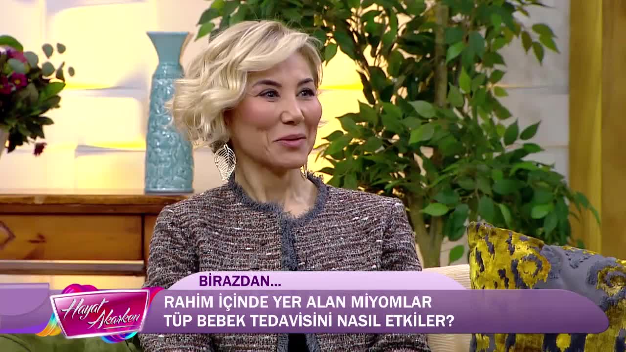 Youtube - Hayat akarken programı