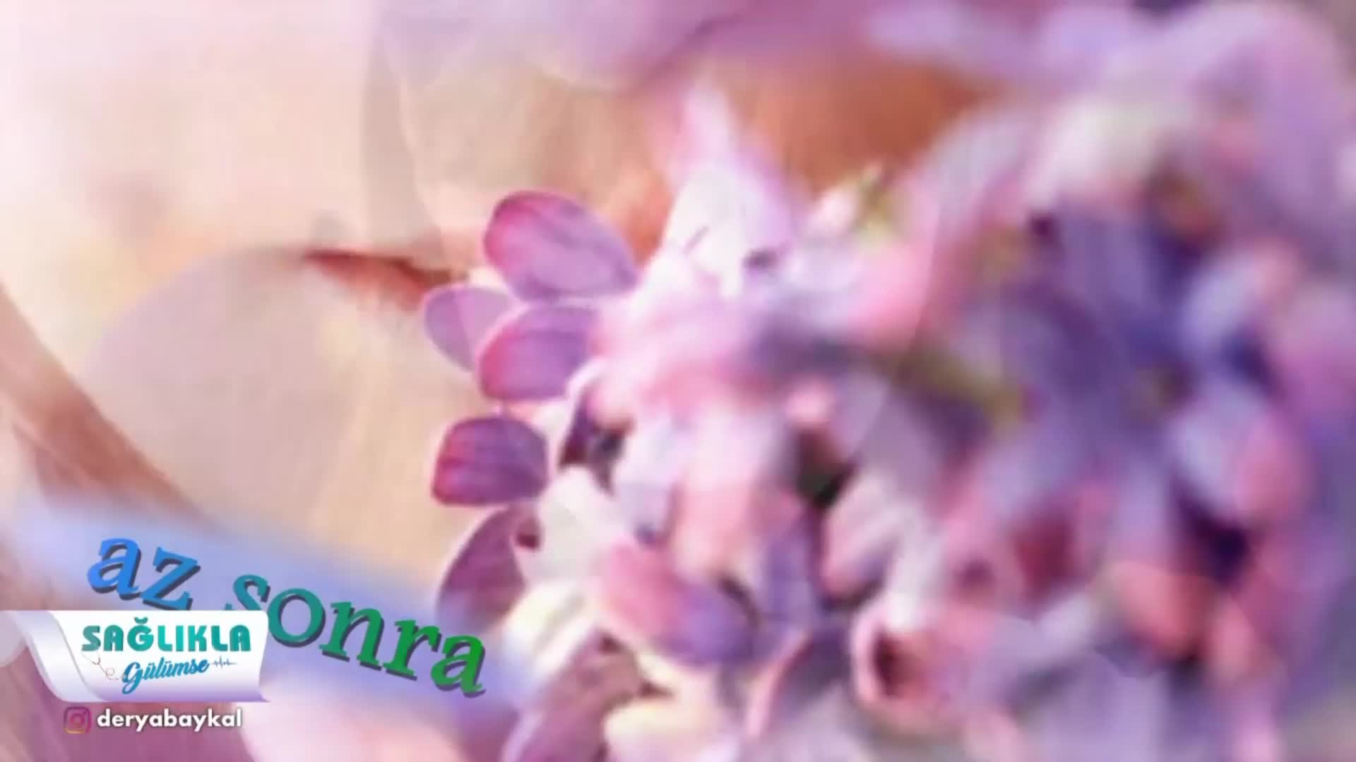 Youtube - Koku ve tat bilimleri projesi