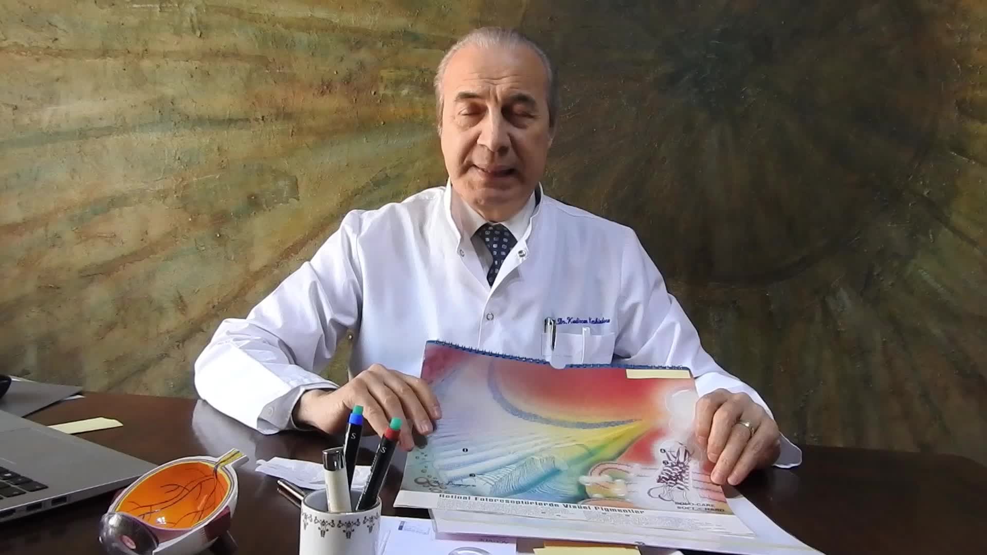 Youtube - Tavuk karası
