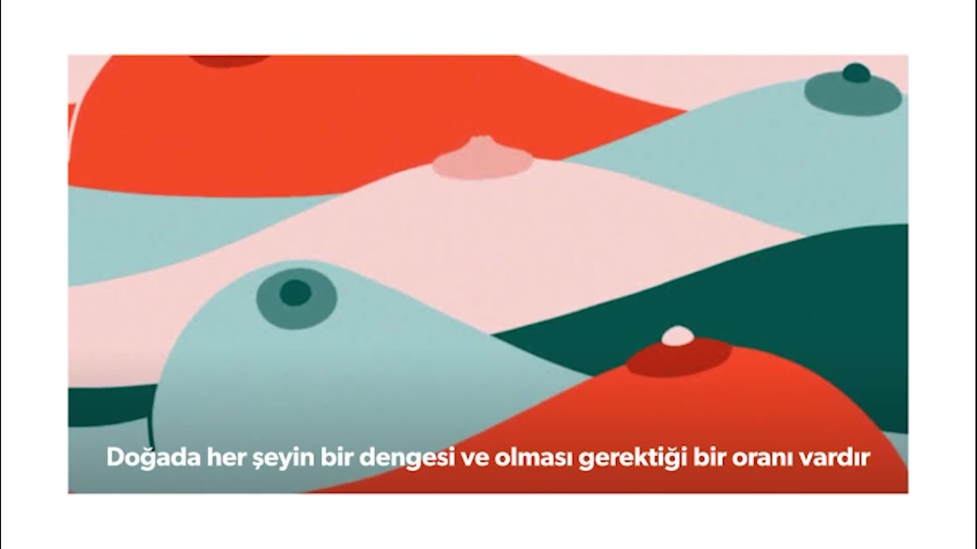Youtube - Op. Dr. Sezi Ceylan - Meme Büyütme Ameliyatı
