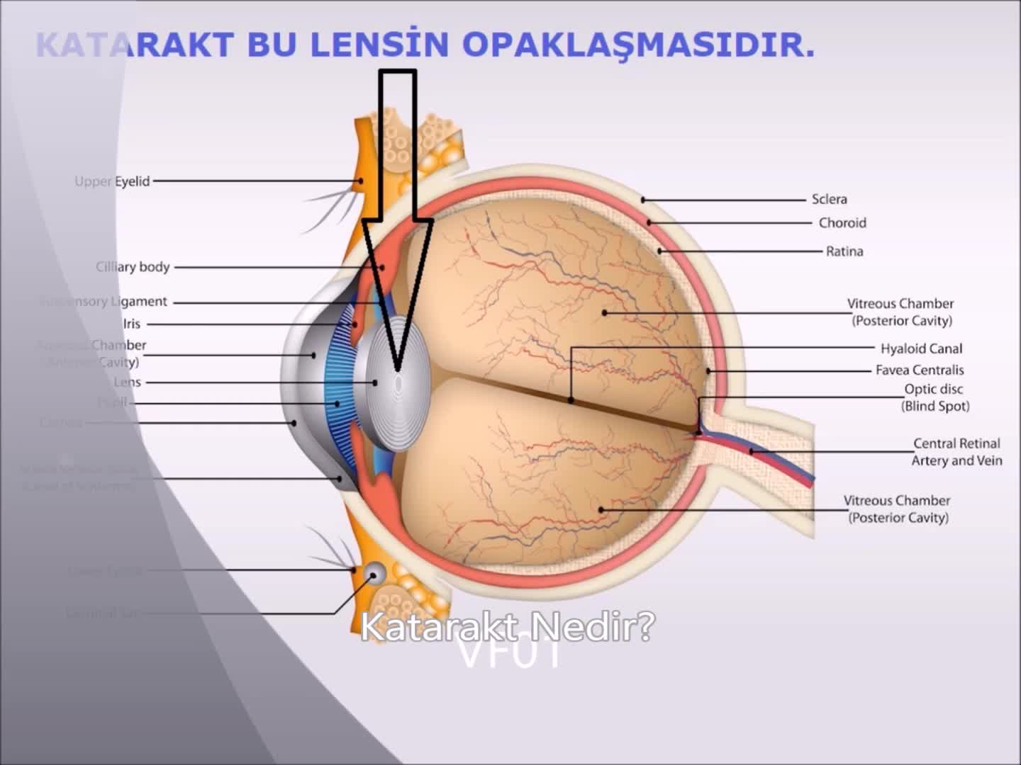 Youtube - Akıllı Lens Kimlere Takılır?
