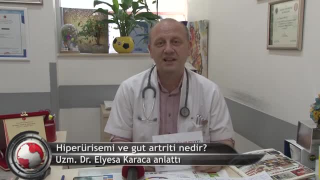 Youtube - Hipeeürisemi ve Gut
