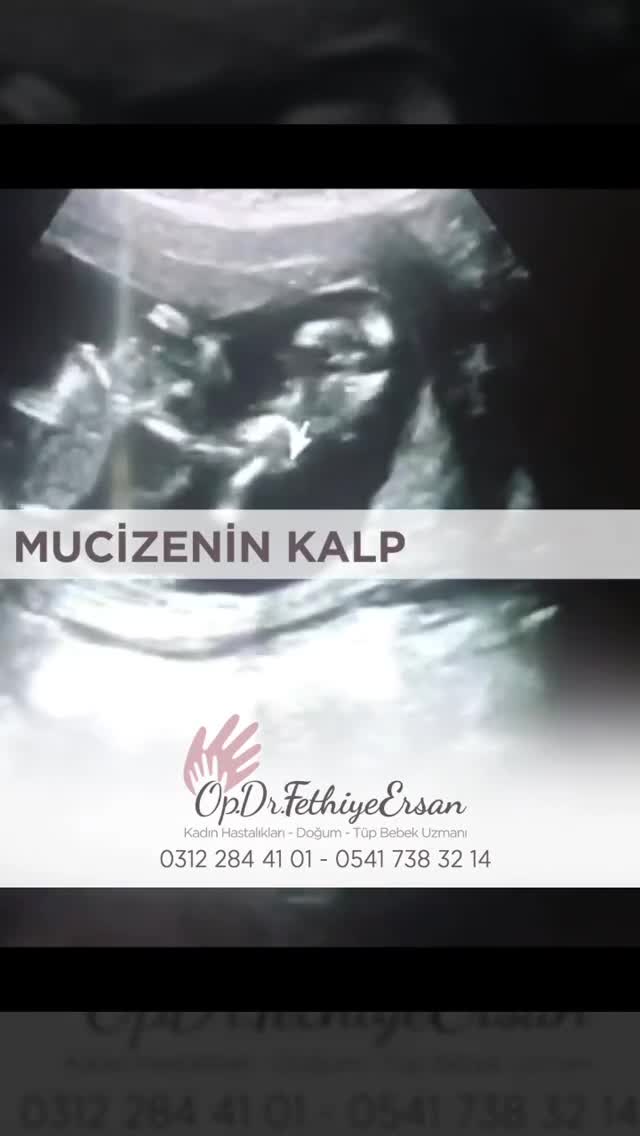 Youtube -  Mucizenin kalp atışları