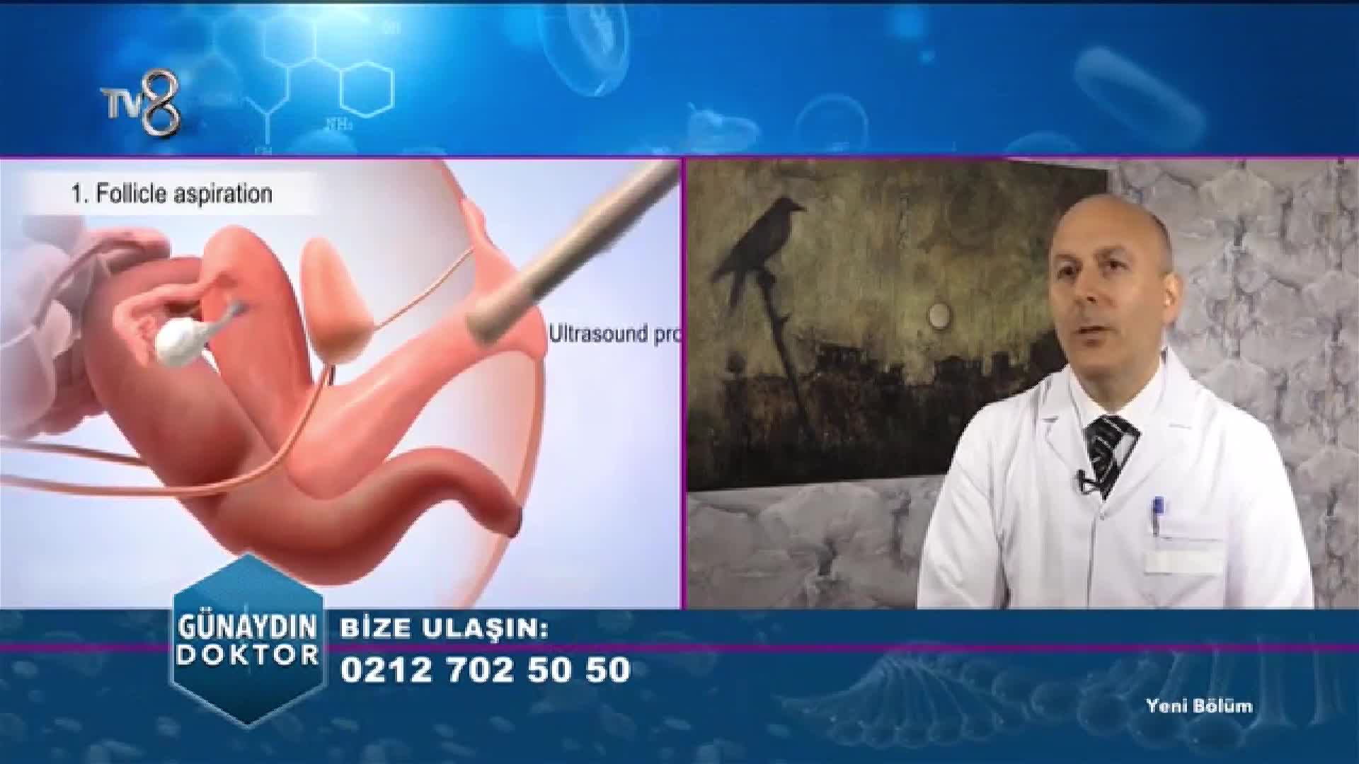 Youtube - Tüp Bebek Tedavisi ile Kimler Gebe Kalamaz?