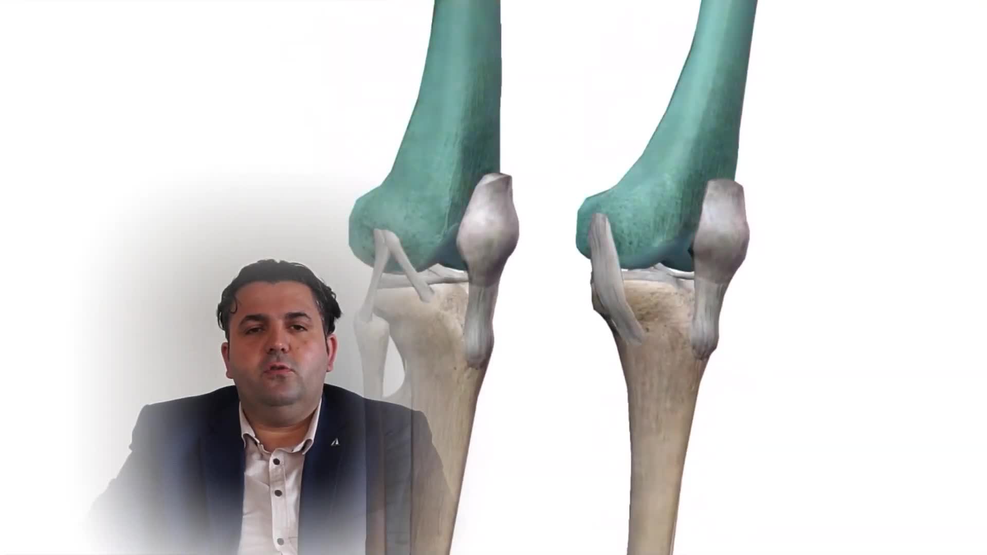 Youtube - Diz eklemi anatomisi