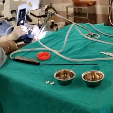 Youtube - Hpv - Papillomavirüs