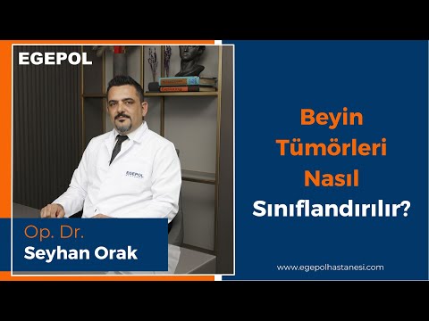 Beyin Tümörleri Nasıl Sınıflandırılır | Egepol Hastaneleri