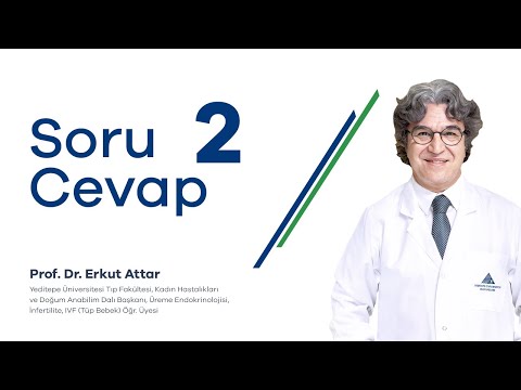 Doktorattar Soru-Cevap 2