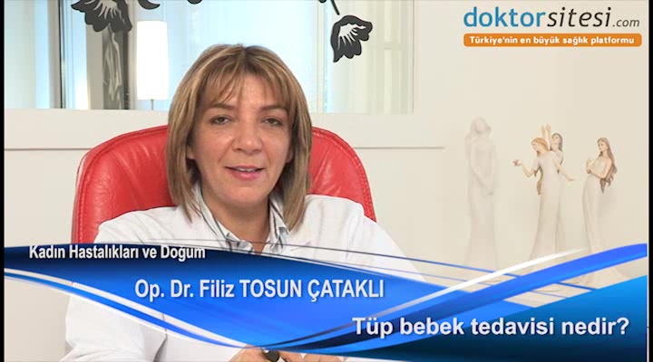 Tüp bebek tedavisi nedir?