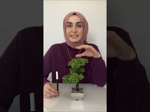 Çocuk Ebeveyn Arasındaki İlişki