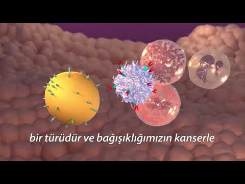 Kanserde İmmünoterapi