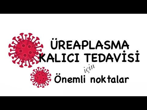 Üreaplasma Tedavisinde önemli noktalar