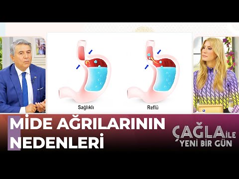 Dikkat! Mide Ağrısı Kanserin Habercisi Olabilir - Çağla İle Yeni Bir Gün 891. Bölüm