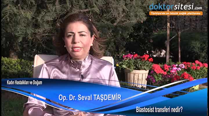 Blastosist transferi nedir?