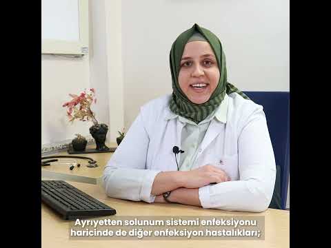 Ege Şehir Hastanesi | Uzm. Dr. Ayşe Belevi | Dahiliye Nedir ve Hangi Hastalıklarla İlgilidir?