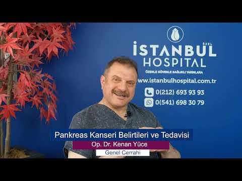 Pankreas Kanseri Belirtileri ve Tedavisi - Op. Dr. Kenan Yüce