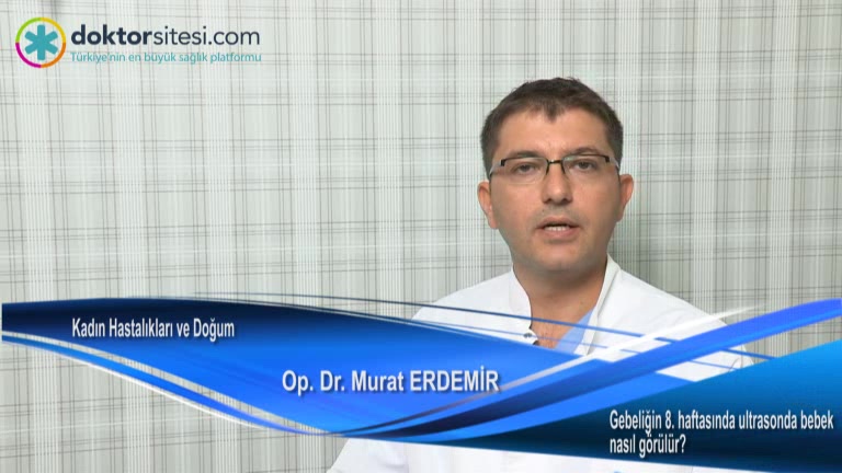 Gebeliğin 8. haftasında ultrasonda bebek nasıl görülür?