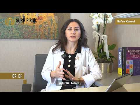 Safra Kesesi | Op. Dr. Talar Vartanoğlu Aktokmakyan