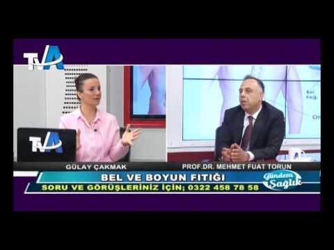 Prof.Dr. Mehmet Fuat Torun