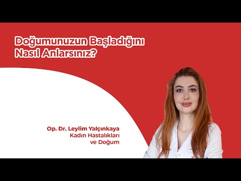 Doğumunuzun Başladığını Nasıl Anlarsınız?