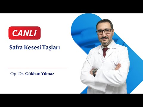 Safra kesesi taşları
