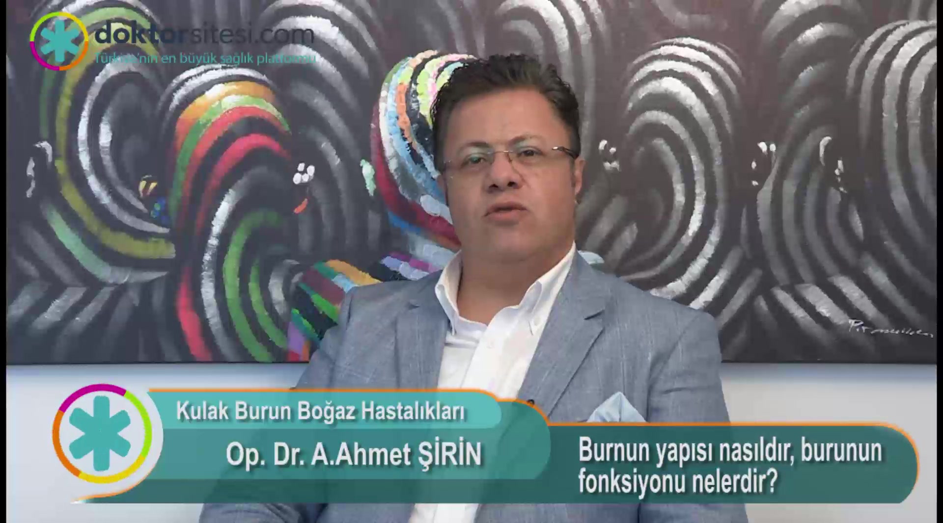 Burnun yapısı nasıldır, burunun fonksiyonu nelerdir?