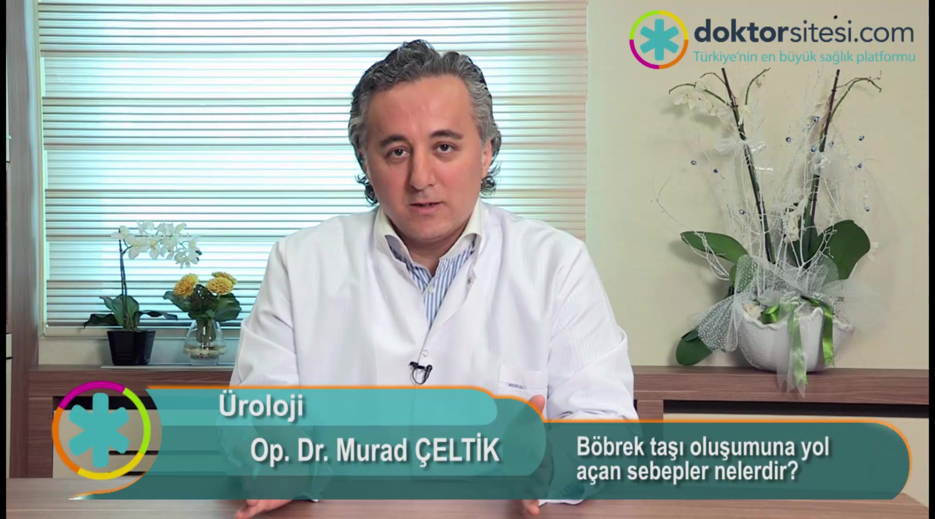 Böbrek taşı oluşumuna yol açan sebepler nelerdir?