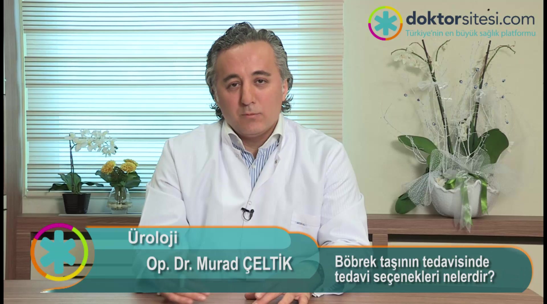 Böbrek taşının tedavisinde tedavi seçenekleri nelerdir?