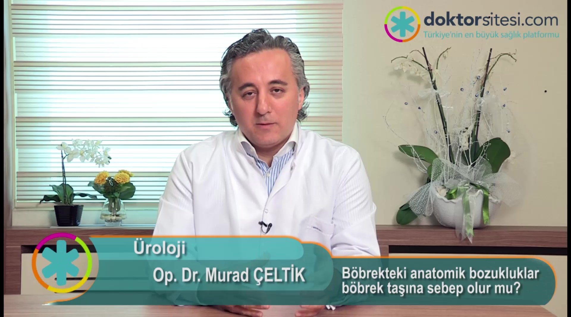 Böbrekteki anatomik bozukluklar böbrek taşına sebep olur mu?