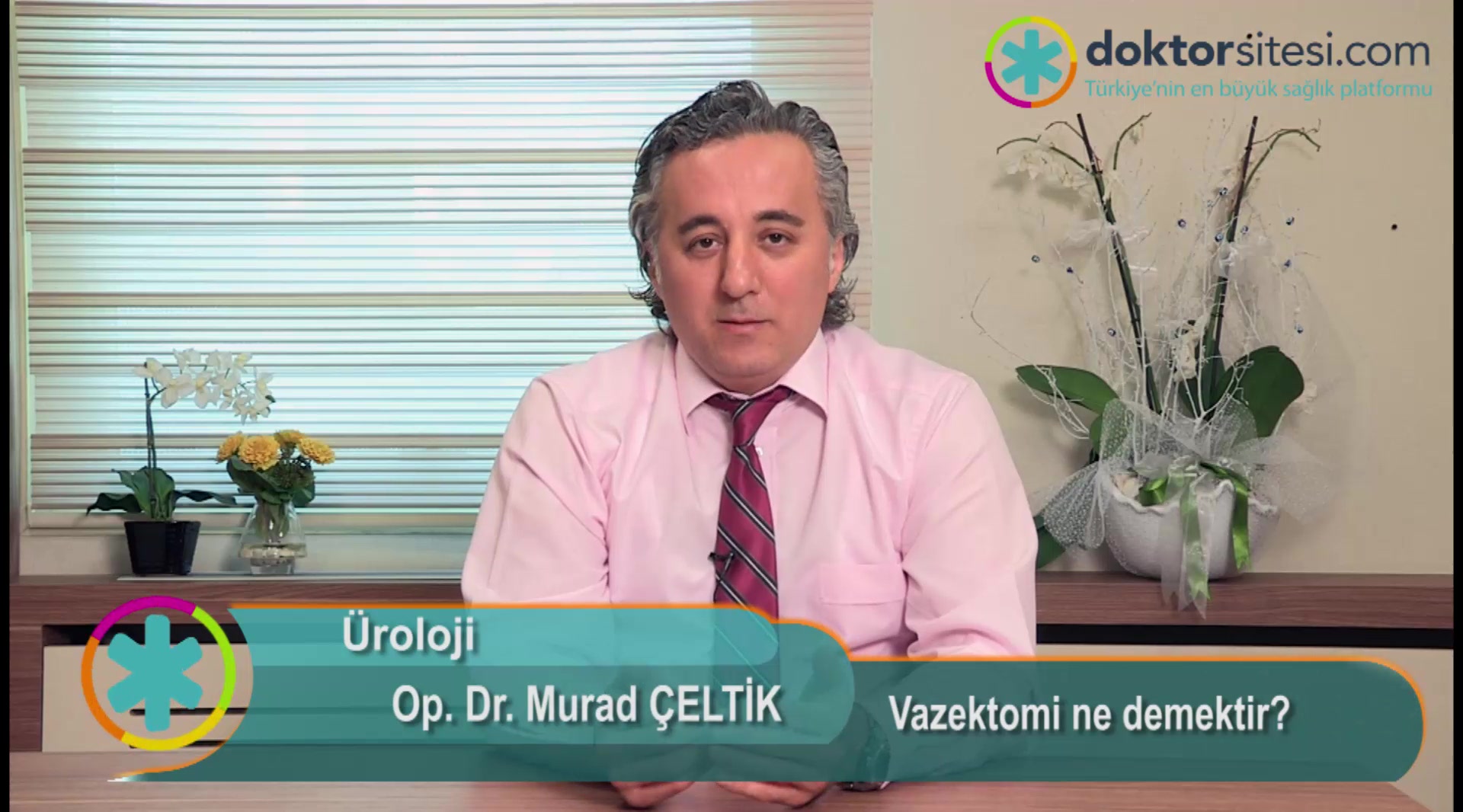 Vazektomi ne demektir?