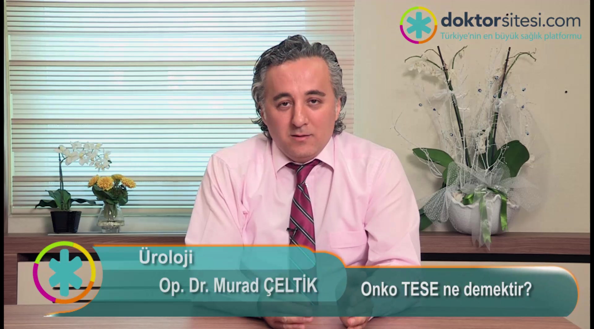 Onko TESE ne demektir?