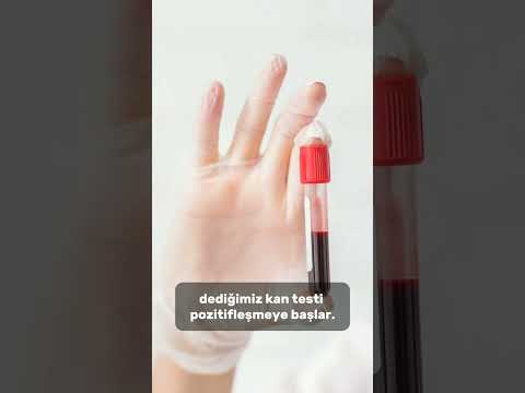 🌟Kanda gebelik testi (hCG testi)