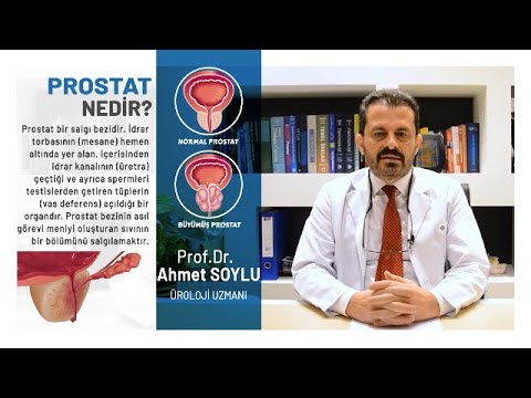 Prof. Dr. Ahmet Soylu - Prostat Hastalığı