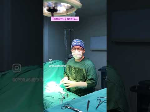 İnmemiş testis