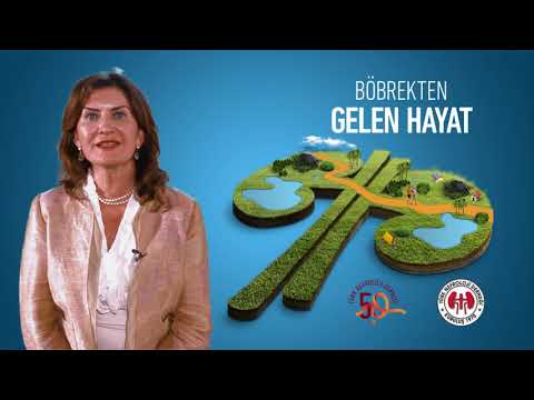 Prof. Dr. Siren Sezer – Beslenme ve Böbrek