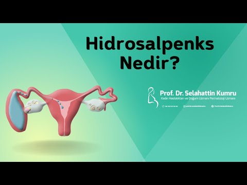 Hidrosalpenks Nedir? / Prof. Dr. Selahattin Kumru Bilgilendiriyor
