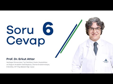Doktorattar Soru-Cevap 6
