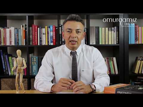 Omurga enfeksiyonunda tedavi yöntemleri nelerdir? Doç. Dr. Zafer Orkun Toktaş